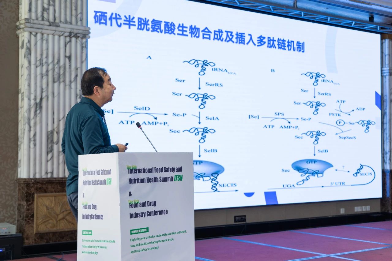 九游(JIUYOU)体育筑梦|官方网站